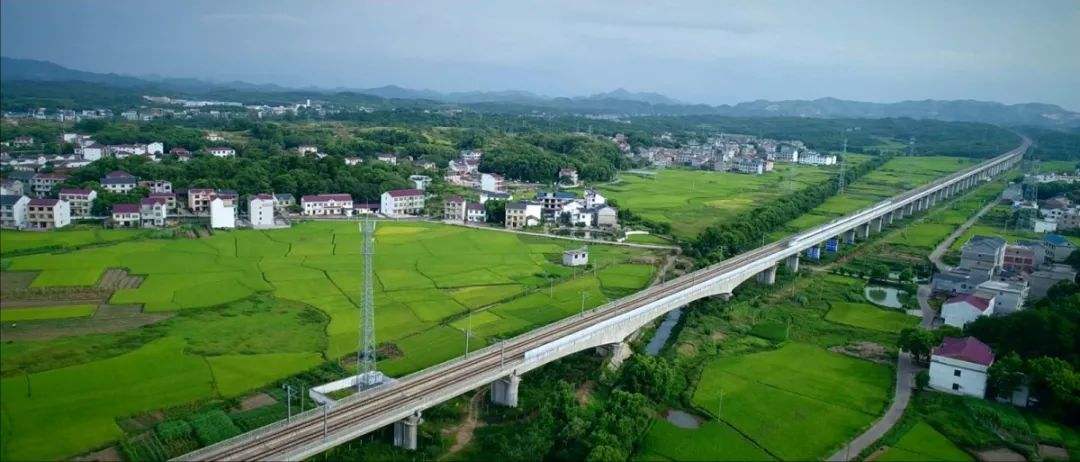 “又中标啦？又中标啦！”