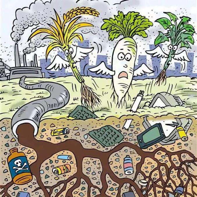 垃圾不分类的危害你了解吗？